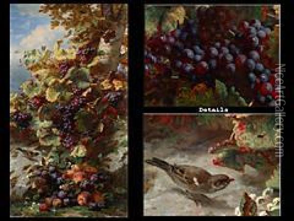 Stilleben Mit Trauben, Pfirsichen, Pflaumen Und Vogel Oil Painting - Jean-Baptiste Robie