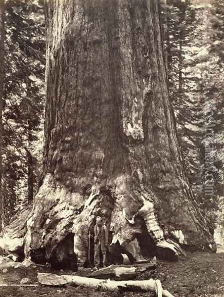 Base of the Grizzly Giant, from The Yosemite Book: A Description of the Yosemite Valley and the Adjacent Region of the Sierra Nevada, and of the Big Trees of California, by Josiah Dwight Whitney (1819-96) published 1868 Oil Painting - Carleton Emmons Watkins