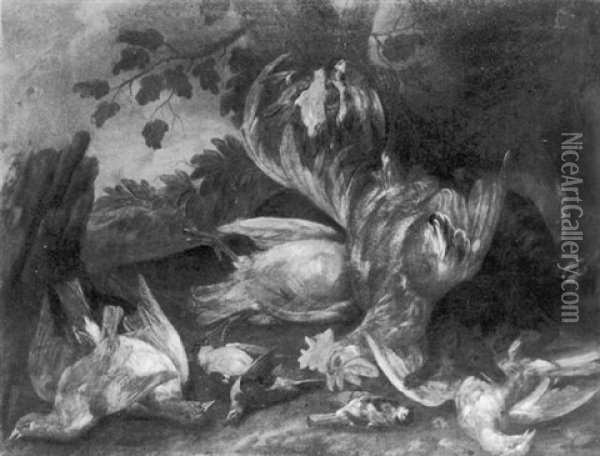 A Stoat Amongst A Cockerel And Other Birds In A Wooded Landscape Oil Painting - Peter (Pieter Andreas) Rysbrack