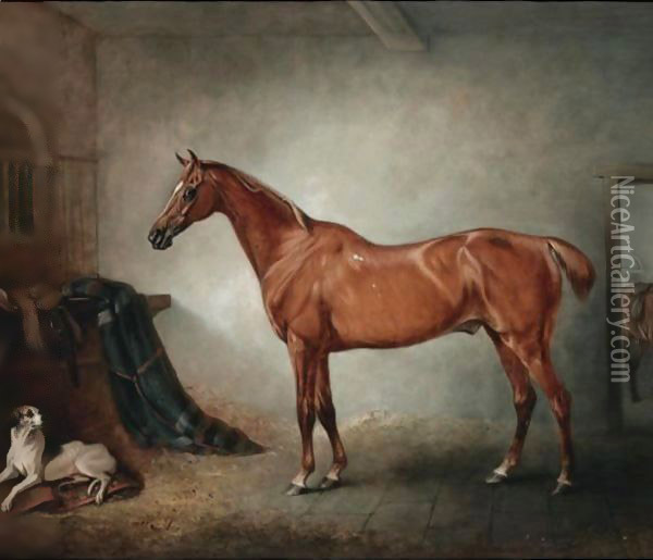 Firebird, A Chestnut Hunter, And Policy, A Foxhound, In A Loose Box, Oil Painting - John Snr Ferneley