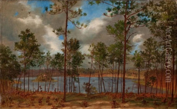 View From The Woods Oil Painting - John Bradley Hudson