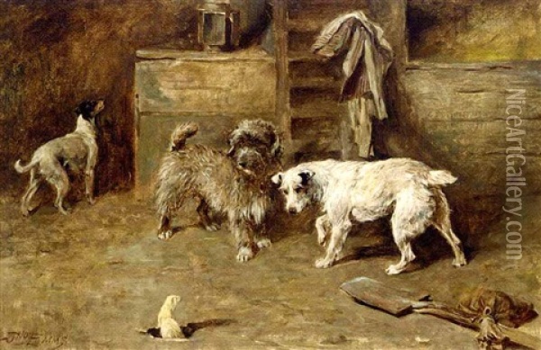 Terriers With A Stoat Oil Painting - John Emms