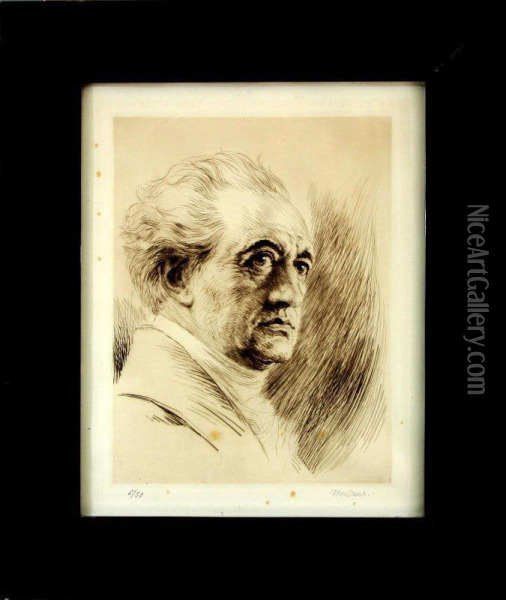 Portrat Von Johann Wolfgang Von Goethe Oil Painting - Karl Konrad Friedr. Bauer