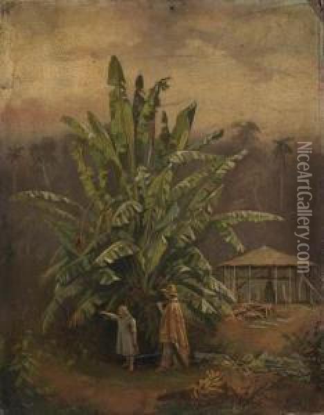 Wild Banana Palm, Brazil Oil Painting - Karl Ernest Papf