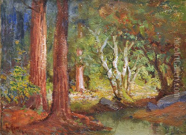 Redwoods With Sunbeams Oil Painting - Arthur William Best