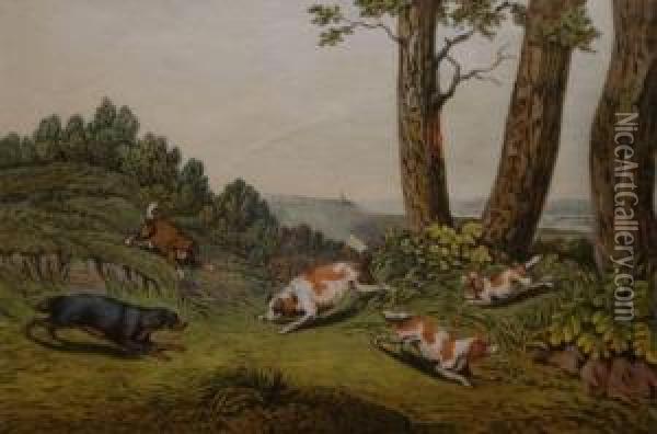 Spaniels Oil Painting - Henry Thomas Alken