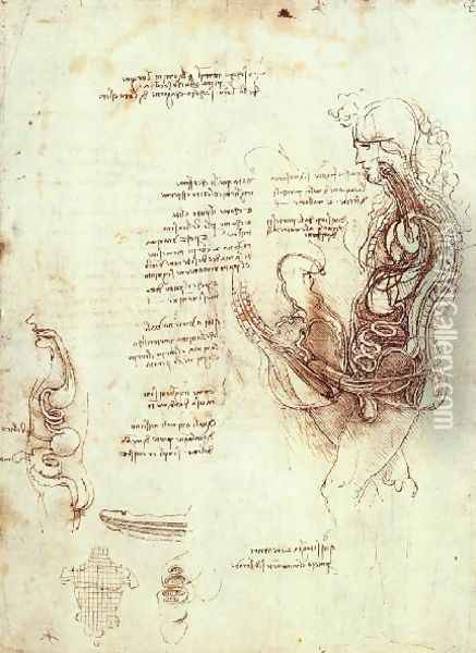 Studies Of The Sexual Act And Male Sexual Organ Oil Painting - Leonardo Da Vinci