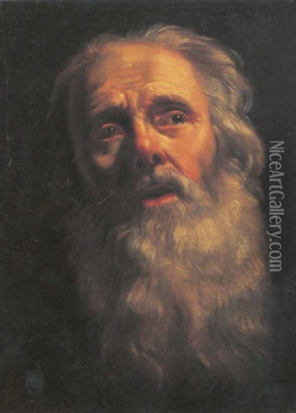The Head Of A Bearded Old Man Oil Painting - Philippe de Champaigne