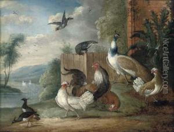 A Peacock, A Cockeral, Hens And Pigeons In A Wooded Clearing Oil Painting - Marmaduke Cradock
