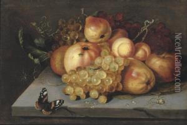 Apples, Grapes, Pears And Apricots On A Stone Ledge With Abutterfly, And Spiders Nearby Oil Painting - Jacob Woutersz Vosmaer