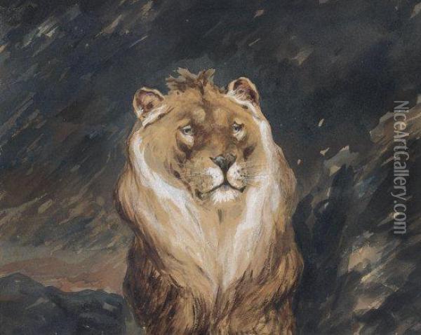 Etude De Lion Oil Painting - Auguste Andre Lancon