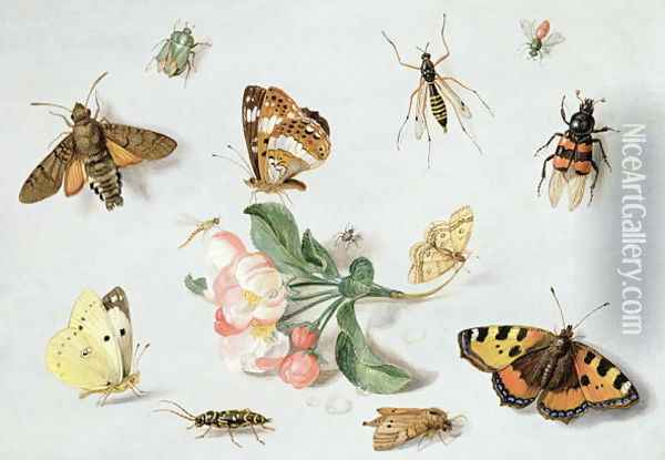 Butterflies moths and other insects with a sprig of apple blossom Oil Painting - Jan van Kessel