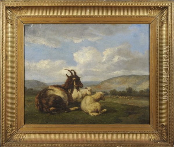 Chevre Et Moutons Oil Painting - Louis Robbe