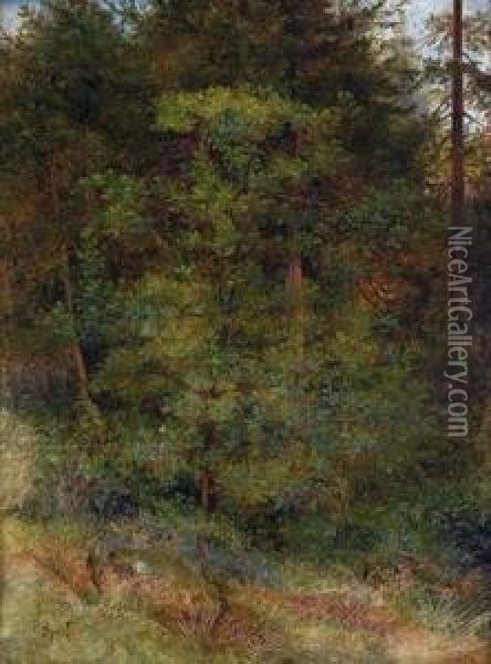 Waldstuck Mit Rot Bluhendem Busch Im Vordergrund Oil Painting - Johann Sperl