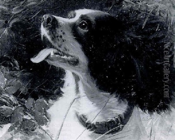 Study Of A Head Of A Spaniel Oil Painting - George Earl