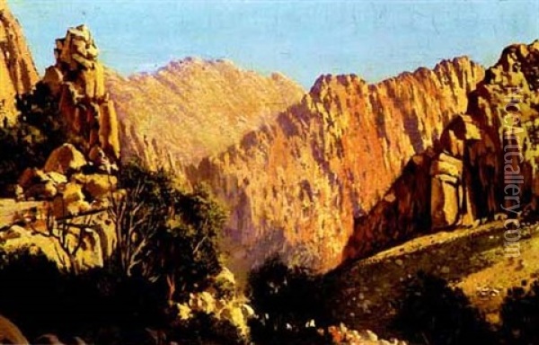 Sunshine And Rocks, Tradouw Pass Oil Painting - Tinus de Jongh
