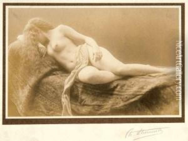 Nus Feminins, Vers 1900 Oil Painting - Charles, Charley Sayers