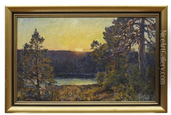 Tallar I Kustlandskap Oil Painting - Gottfried Kallstenius