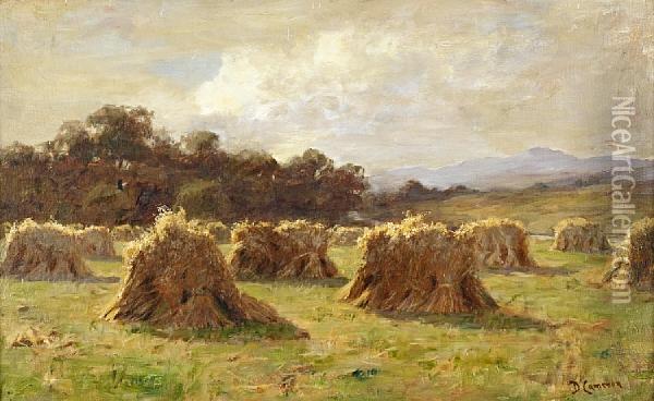 Sunshine On The Sheaves Oil Painting - Duncan Cameron