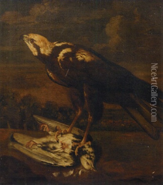 A Falcon With A Dead Pigeon Oil Painting - Philipp Ferdinand de Hamilton