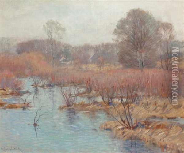Spring Wetlands Oil Painting - Alexander Theobald Van Laer