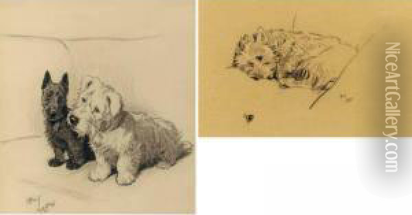 Sleeping Westie And Two Terriers: Two Works Oil Painting - Cecil Charles Aldin