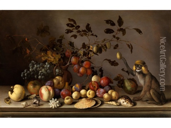 Stilleben Mit Fruchten, Muscheln Und Einem Sitzenden Affen Oil Painting - Balthasar Van Der Ast