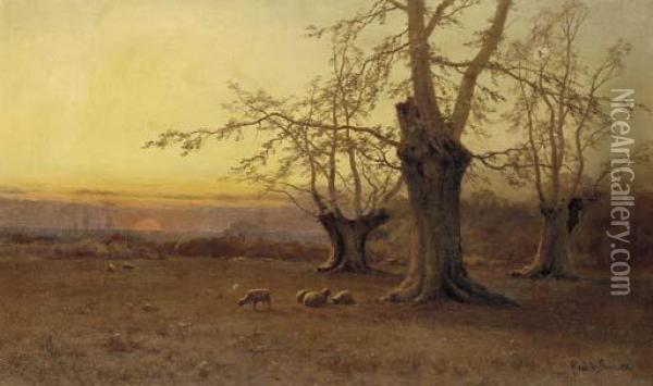 A Spring Evening, Burnham Beeches Oil Painting - Alfred de Breanski