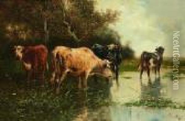 Kuhe Im Seichten Wasser Eines
 Teiches. Oil Painting - Henry Schouten