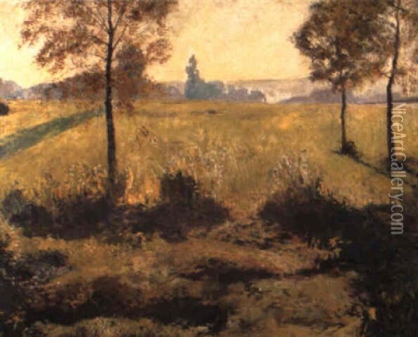Zonnig Landschap Oil Painting - Franz van Holder