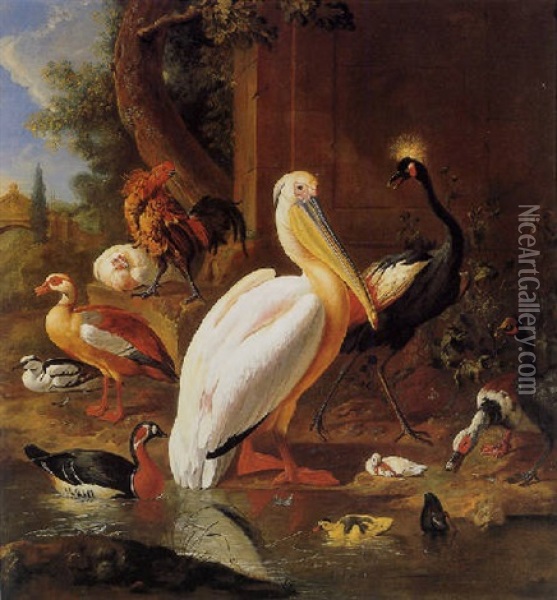 A Pelican, A Crested Crane, A Hen And Rooster With Various Ducks In A Landscape Oil Painting - Melchior de Hondecoeter
