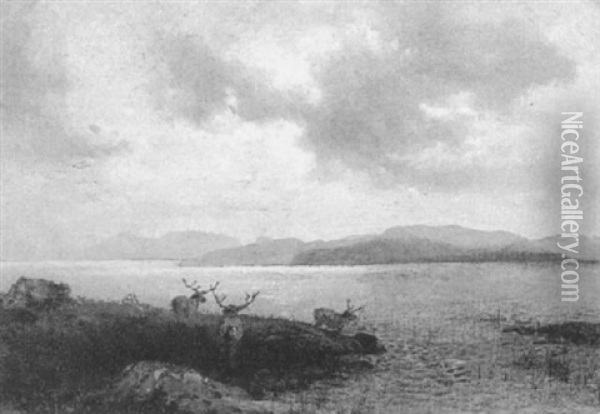Stags By A Lake Oil Painting - Hermann Herzog