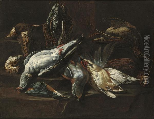 A Dead Kingfisher, Woodcocks And Other Game On A Draped Table Oil Painting - Johannes Hermans