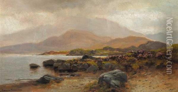 Coastal Landscape With Heather And Rocks Oil Painting - Alexander Williams