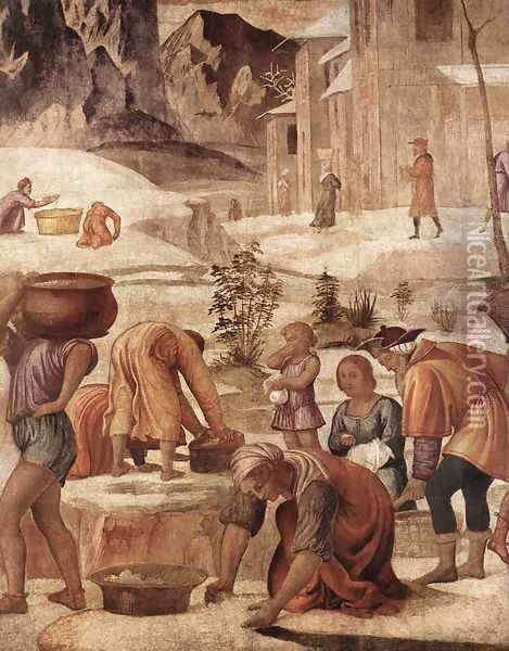 The Gathering of the Manna 1520-23 Oil Painting - Bernardino Luini
