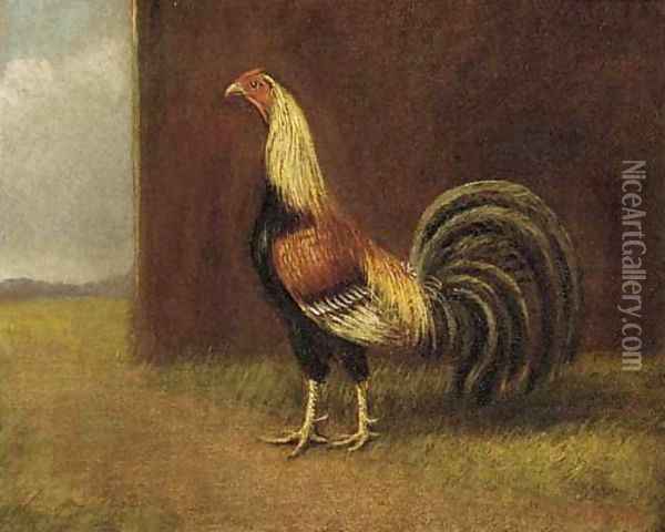 A game cock Oil Painting - Henry Thomas Alken