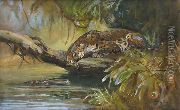 Jaguar observing a Caiman Oil Painting - Cuthbert Edmund Swan