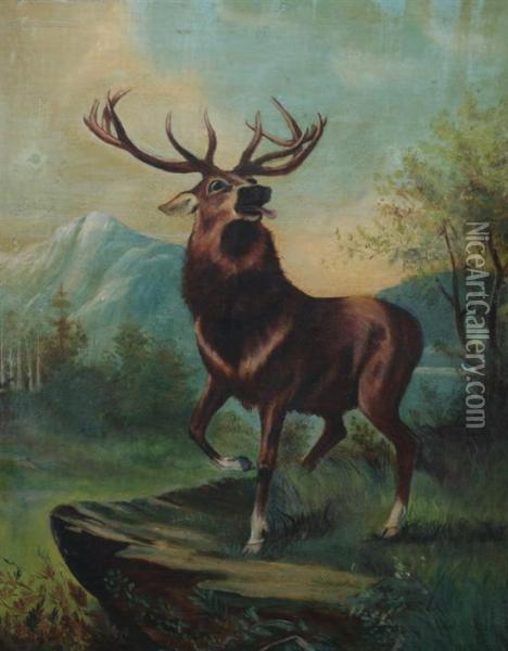 Stag In The Highlands Oil Painting - Robert Cleminson