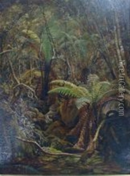 The Gully, Tasmania Oil Painting - Charles Gordon-Frazer