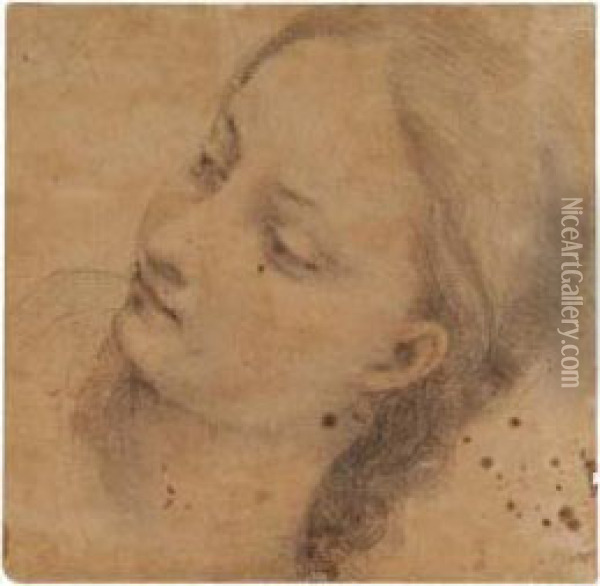 A Study For The Head Of The Virgin Oil Painting - Francesco Vanni