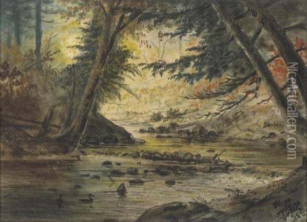 Forest Stream Oil Painting - Gibeon Elden Bradbury