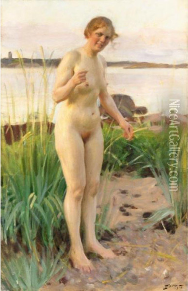 Smalandska (girl From Smaland) Oil Painting - Anders Zorn