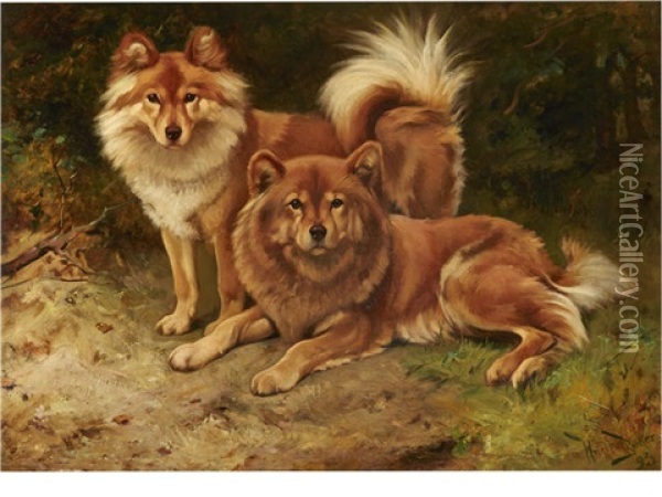 Two Chow Chows Oil Painting - Wright Barker