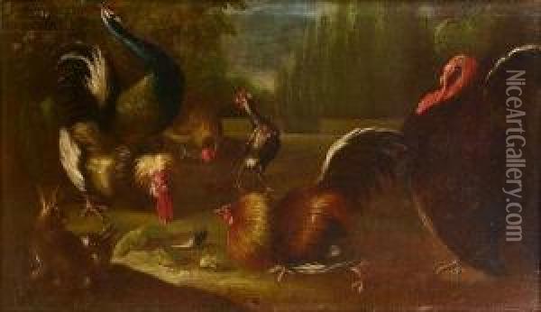 A Turkey, Peacock And Cockerels With A Rabbit In A Landscape Oil Painting - Giovanni Agostino Cassana