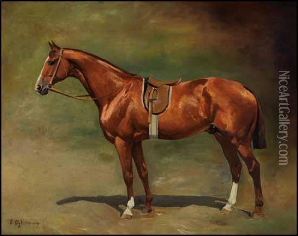 Race Horse Oil Painting - Thaddaus von Ajdukiewicz