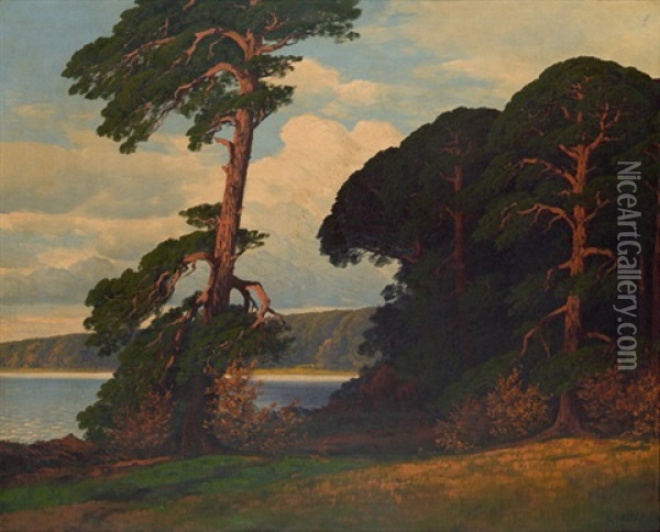 Markischer See Im Abendlicht Oil Painting - Rudolf Hellgrewe