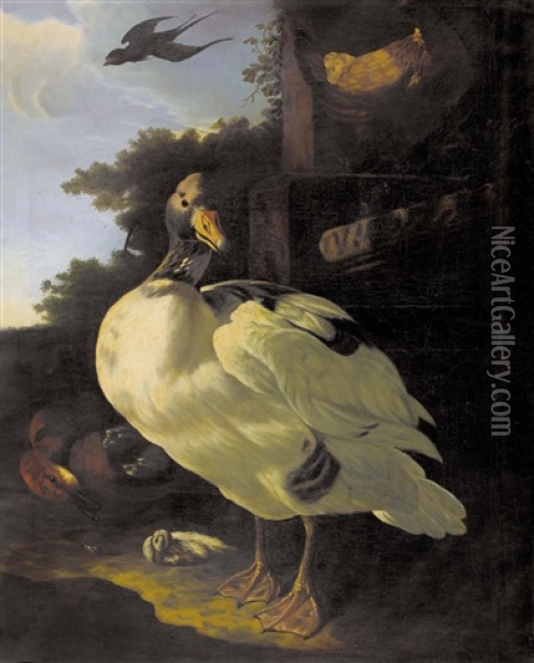 Enten, Huhn Und Schwalbe Vor Gemauer Oil Painting - Melchior de Hondecoeter