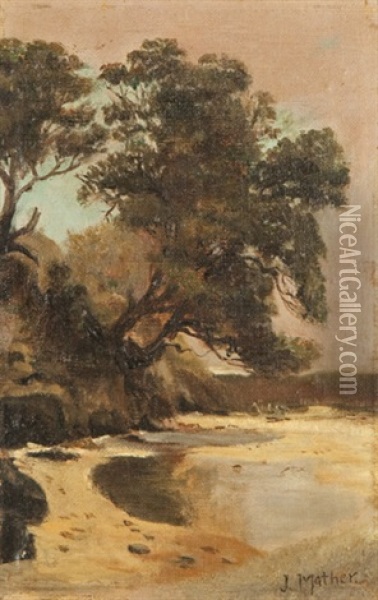 Ti Tree Port Philip Bay Oil Painting - John Mather