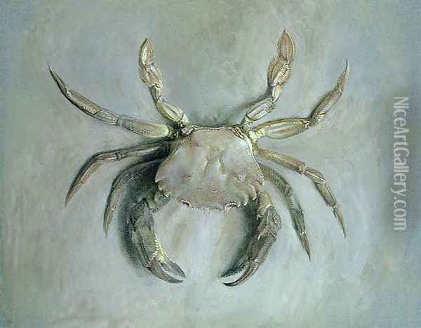 Velvet Crab, 1870-1 Oil Painting - John Ruskin