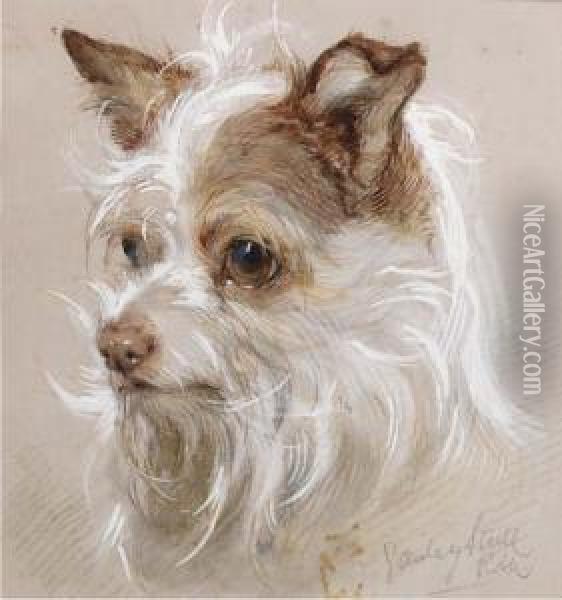 Mite, A Terrier Oil Painting - Gourlay Steell